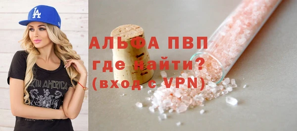 МДПВ Гусев