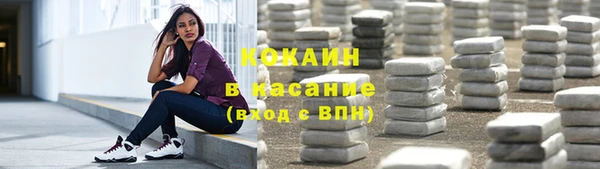 спайс Гусь-Хрустальный