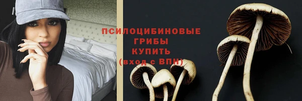 крисы Тихорецк