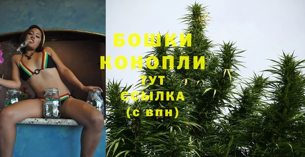 МДПВ Гусев