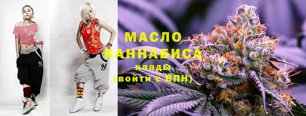 МДПВ Гусев