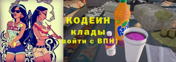 МДПВ Гусев