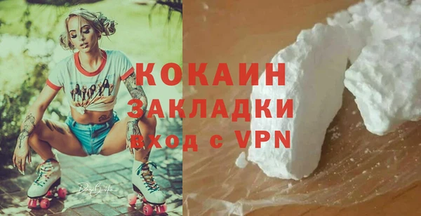 спайс Гусь-Хрустальный