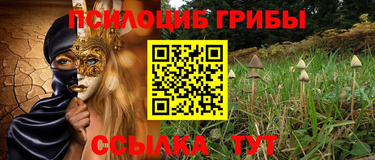 Псилоцибиновые грибы Cubensis Можга