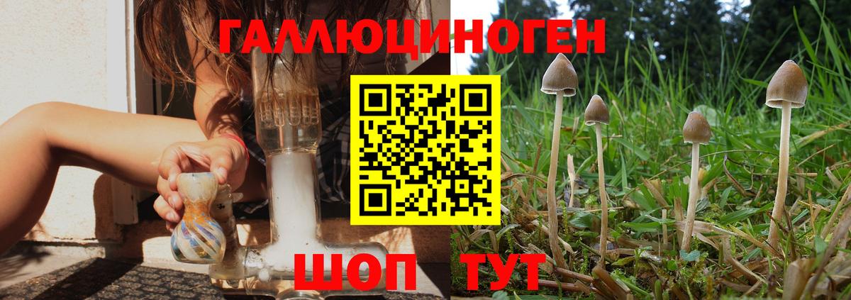 Псилоцибиновые грибы MAGIC MUSHROOMS  Вход с VPN  Можга 