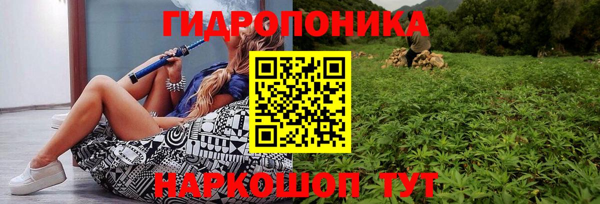 МАРИХУАНА MAZAR  Бошки Шишки конопля  Можга  МАРИХУАНА SATIVA & INDICA  Каннабис семена 